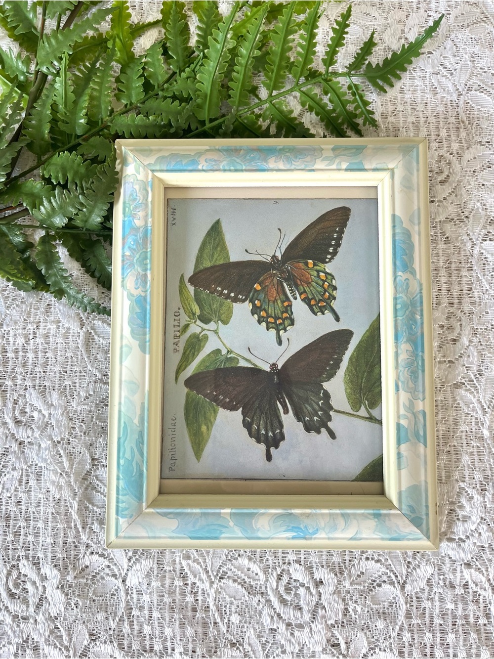 Vintage Wood Framed Butterfly Decor 5x7